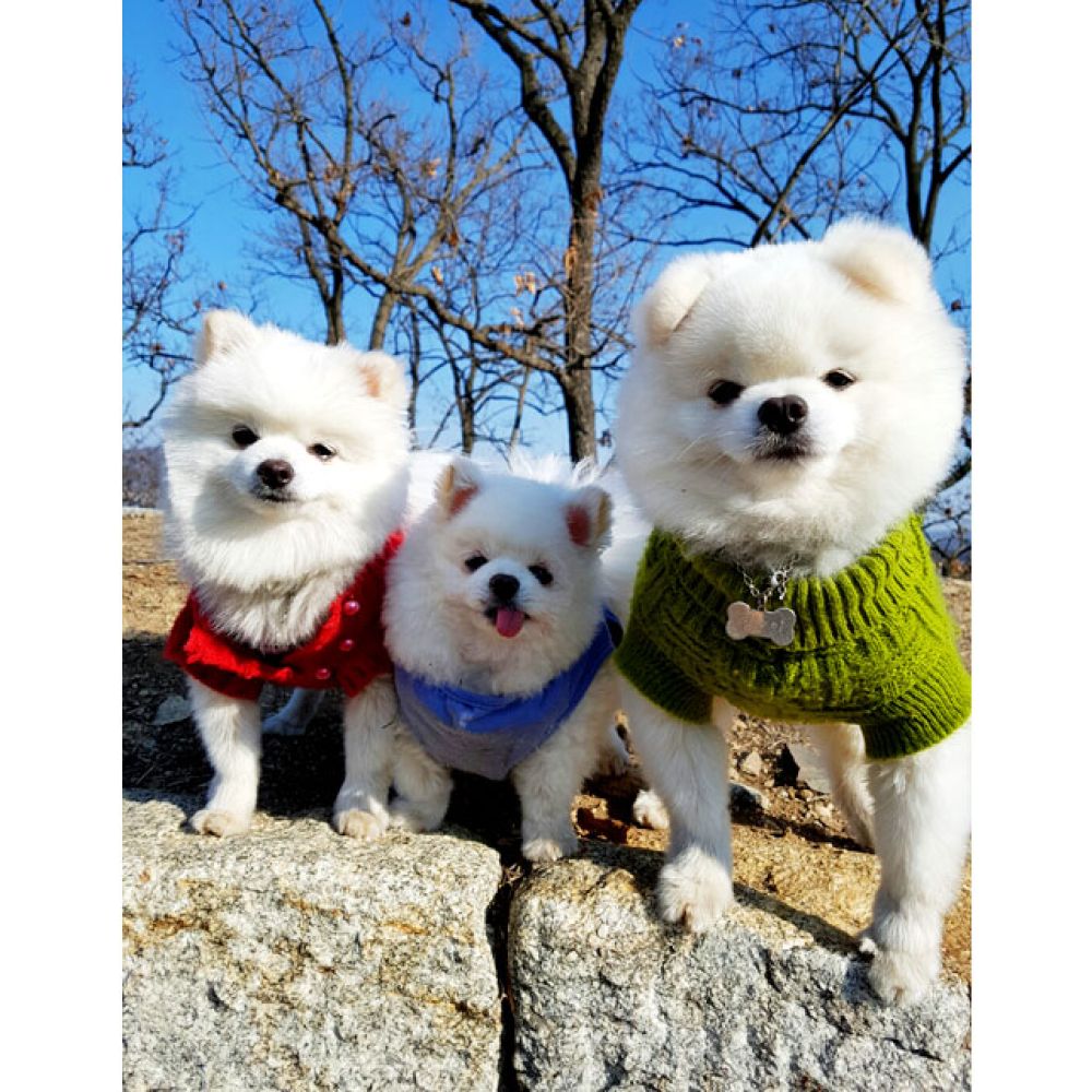 부대시설,기타