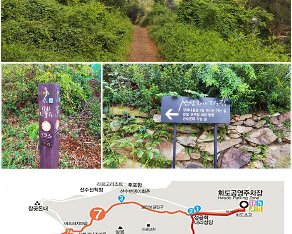 정글처럼 시원한 산당화 산책길